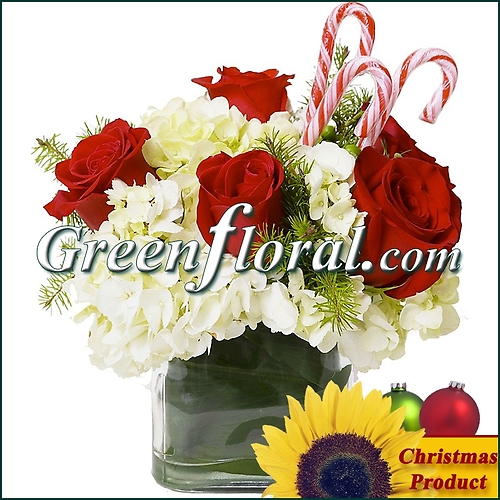 The Cameron Christmas Rose Vase Design