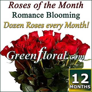 12 Months of One Dozen Roses