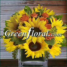 The Branson Sunflower Cube