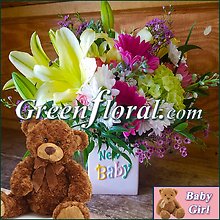 The Clarkton New Baby Girl Cube Vase & Teddy