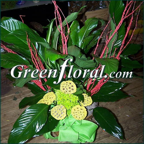 The Brenmar Peace Lily Design