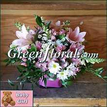 The Farmington Baby Girl Cube Design