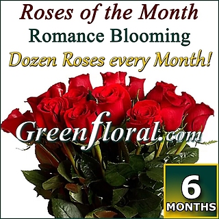 6 Months of One Dozen Roses