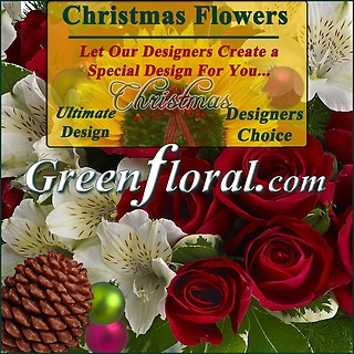 Our Designer\'s Christmas Design Choice Ultimate