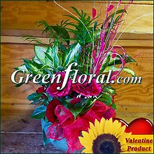 The Valentine Woodlea Planter Assortment