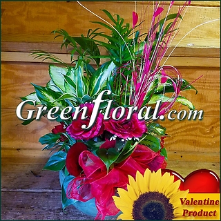 The Valentine Woodlea Planter Assortment