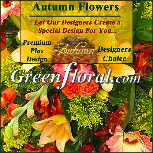 Our Designer\'s Autumn Design Choice Premium Plus