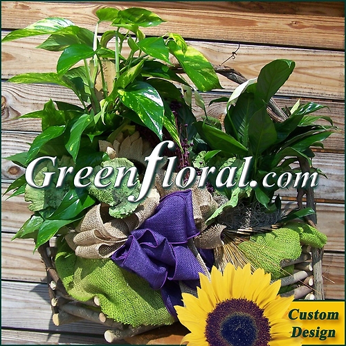Double Plant Grapevine Log Basket (Custom Design-FF2037-04)