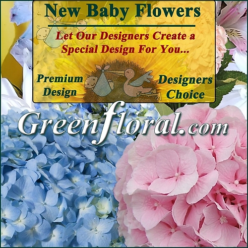 Our Designer\'s New Baby Design Choice Premium