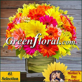 The Mother\'s Day Springrise Gerbera Cube