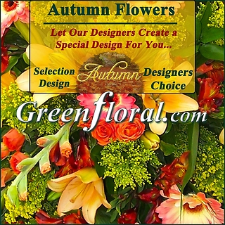 Our Designer\'s Autumn Design Choice Selections Catalog