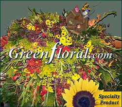 The D. S. Griffin Family Tribute