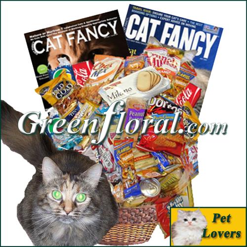 The Cat Lover\'s Junk Food Basket