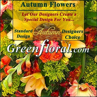 Our Designer\'s Autumn Design Choice Standard
