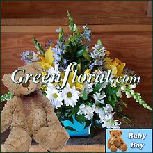The Farmington Baby Boy Cube and Teddy Design