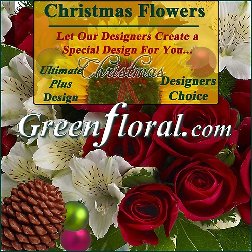 Our Designer\'s Christmas Design Choice Ultimate Plus