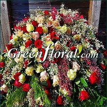 The M. N. Medina Family Tribute