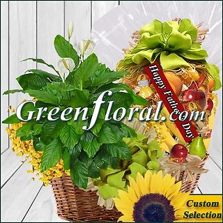Father`s Day Ole Fashion Fruit and Plant Basket Combo