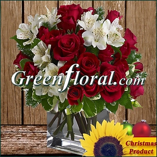 The Highland Christmas Holiday Cube