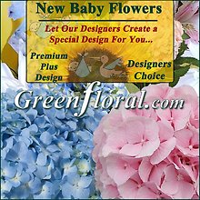 Our Designer\'s New Baby Design Choice Premium Plus