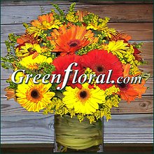 The Lake Caroline Fall Gerbera Cube Vase