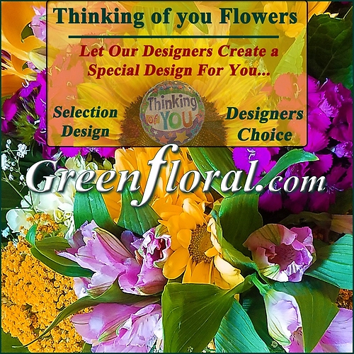 Our Designer\'s Thinking Of You Design Choice Selections Catalog