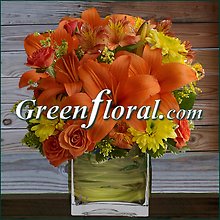The Jackson Cube Vase Design