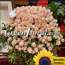 The S. G. Daniels Family Tribute