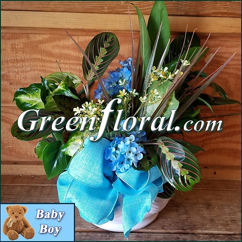 The Goodman Garden Baby Boy Designer Planter