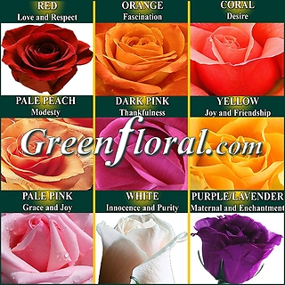 Rose Meanings