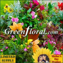 Our Mother\'s Day 12\" Assorted Garden Patio Plant Pot