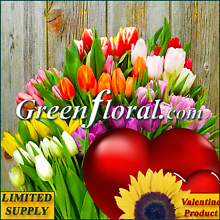 The  Valentine`s Day Assorted Tulip Vase Design