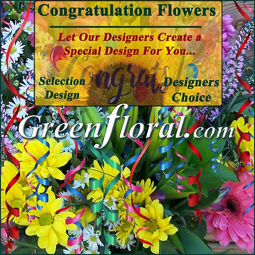 Our Designer\'s Congratulation Design Choice Selections Catalog