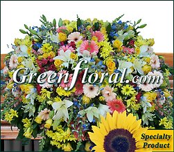 The M. V. Traxlor Family Tribute