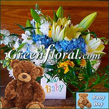The Clarkton New Baby Boy Cube Vase & Teddy