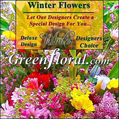 Our Designer\'s Winter Design Choice Deluxe