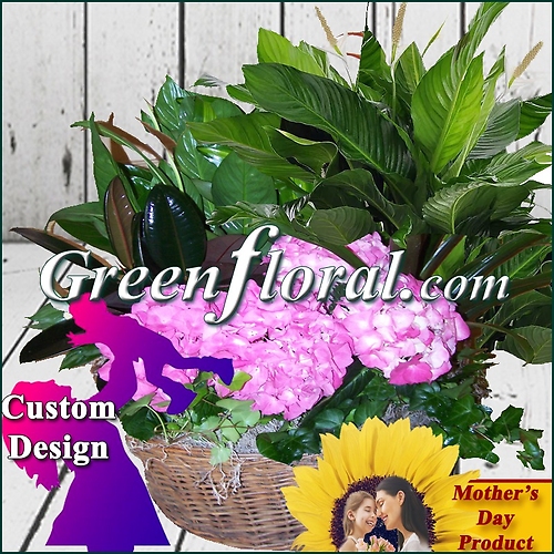 The Mother\'s Day Simmons Large Blooming Basket Garden