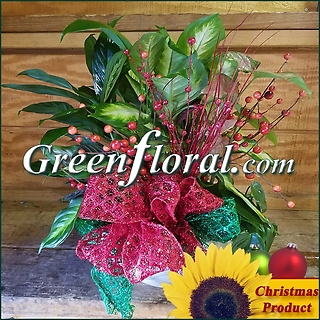 The Rochelle Christmas Garden