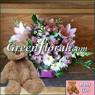 The Farmington Baby Girl Cube and Teddy Bear Design