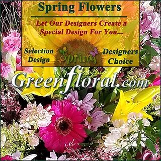 Our Designer\'s Spring Design Choice Selections Catalog