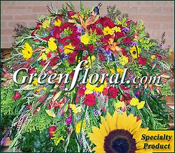The E. D. McDill Family Tribute